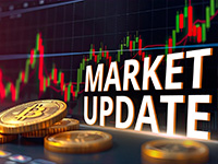 Market Update 20th November 2024 